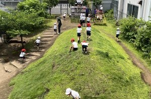芝生の庭