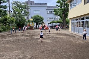 土の園庭